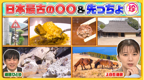 ナニコレ珍百景 上白石萌歌も知らない鹿児島・離島の珍伝統&半島の先っちょ大調査&日本最古の〇〇珍百景(2026/02/15放送分)