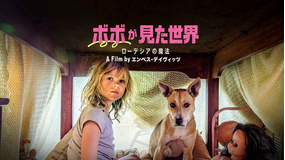 ボボが見た世界 -ローデシアの魔法-／字幕