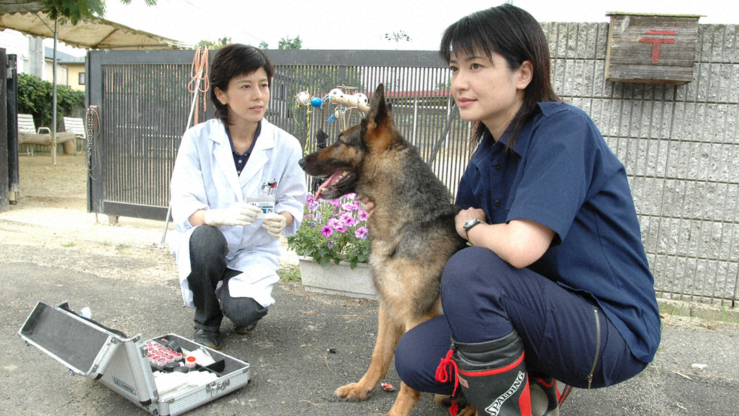 VS警察犬ハリー！第三の銃撃犯を追え‼