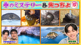 ナニコレ珍百景 春のミステリー珍百景＆山口・長崎の先っちょで驚きの発見SP（2026/04/19放送分）