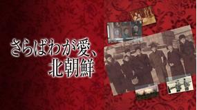さらばわが愛、北朝鮮/字幕