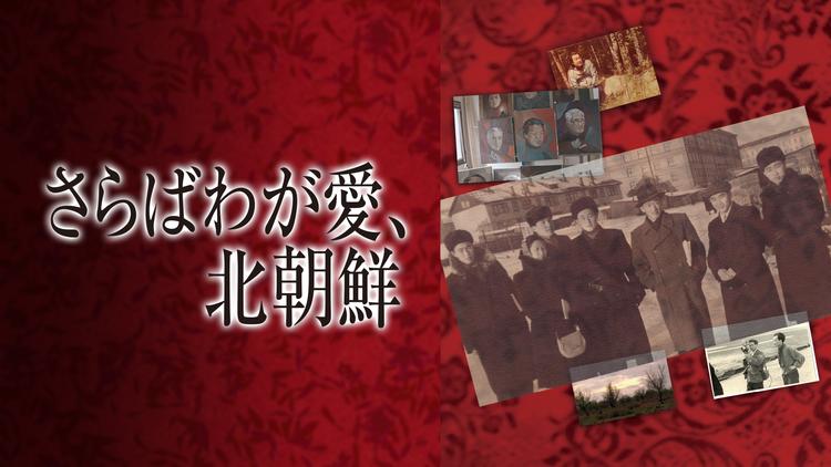 さらばわが愛 北朝鮮 字幕 Telasa テラサ で映画 ドラマ アニメが見放題