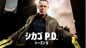 シカゴ P.D. シーズン5/字幕