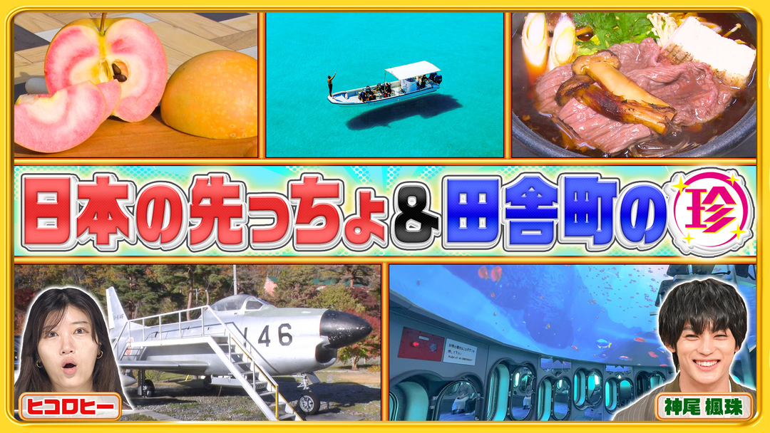 ナニコレ珍百景 日本の気になる先っちょ大調査＆時間が貯まる！？田舎町の珍システム（2025/11/23放送分）