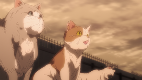 ニャイト・オブ・ザ・リビングキャット 第12話（最終話）