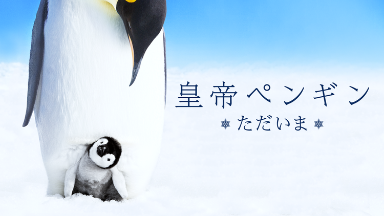 皇帝ペンギン ただいま/吹替