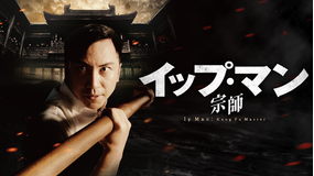 イップ・マン 宗師/吹替