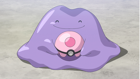 ポケットモンスター(2023) 第143話