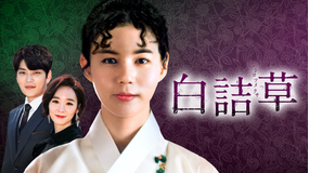 白詰草