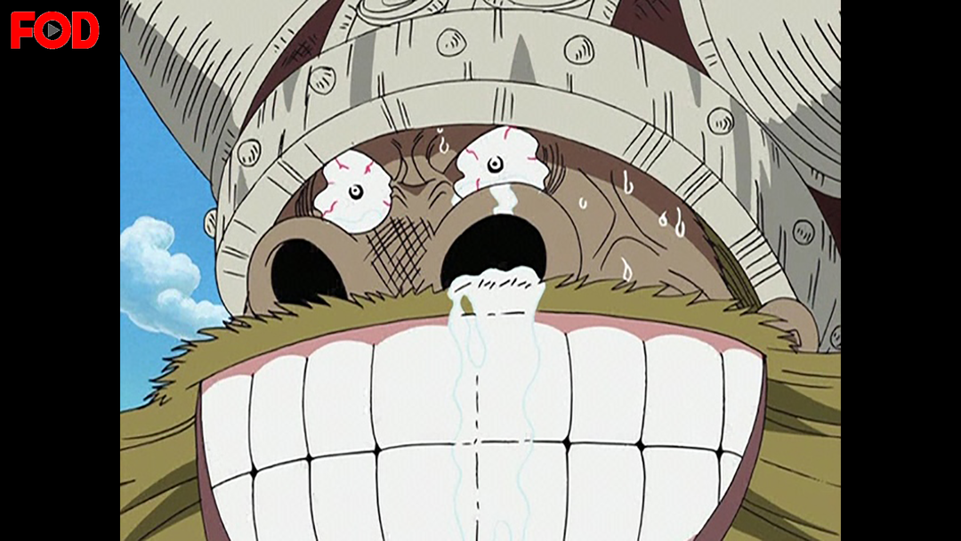 ワンピース グランドライン突入編 映画 ドラマ アニメの動画はtelasa