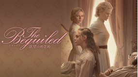 The Beguiled ビガイルド 欲望のめざめ/字幕