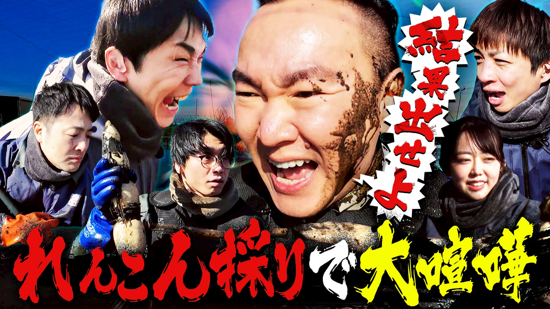 かまいガチ 旬のれんこんを食べてほしい！山内隊長が暴挙の連続で一同唖然！！（2026/02/25放送分）