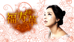 福寿草