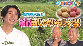 相葉マナブ マナブ!旬の産地ごはん~新じゃがいも~(2026/07/12放送分)