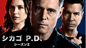シカゴ P.D. シーズン2/字幕