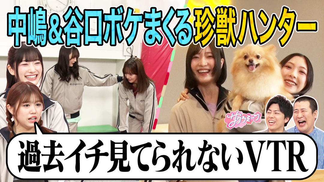 サクラミーツ ＃147 【中嶋＆谷口が体張りまくり】珍獣ハンター！