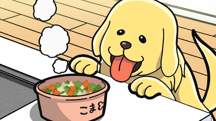 まめきちまめこニートの日常33（第65話・第66話）