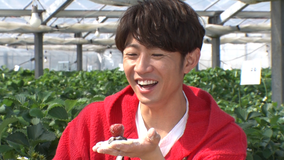 相葉マナブ 釜-1グランプリ&マナブ!旬の産地ごはん~山武市のイチゴ~(2021/04/11放送分)