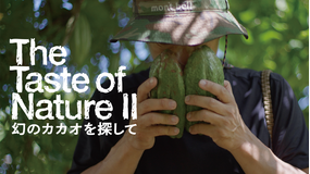 The Taste of Nature II 幻のカカオを探して