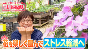 有働由美子の健康案内人！ 花を楽しく選んで ストレス軽減へ