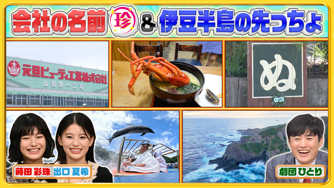 ナニコレ珍百景 伊豆半島の先っちょで発見！謎の建造物＆会社名が不思議な珍百景（2026/09/13放送分）