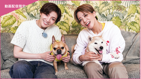 【宝塚歌劇】TAKARAZUKAあにまるハウス＃37「鳳月杏・礼真琴」＜未公開映像付＞