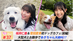 ときめき♡プレシャス #37 ひとあきコンビで初ドッグカフェ(前編)