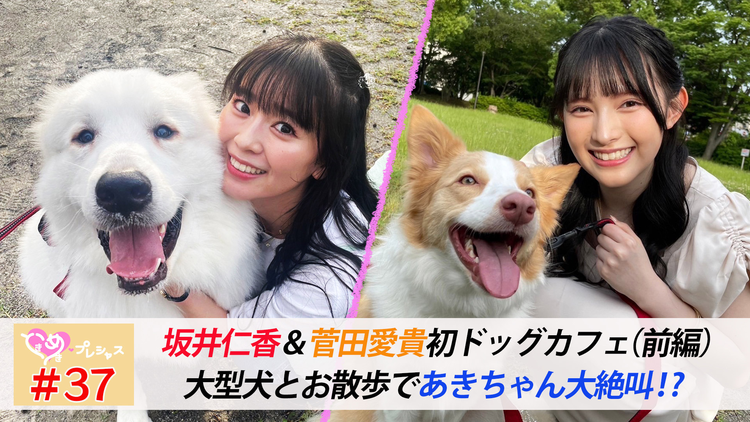 ときめき♡プレシャス #37 ひとあきコンビで初ドッグカフェ(前編)