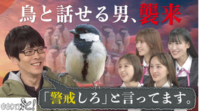 ももクロちゃんと！ ももクロちゃんと！～鳥の言葉がわかる先生～（2025/08/02放送分）