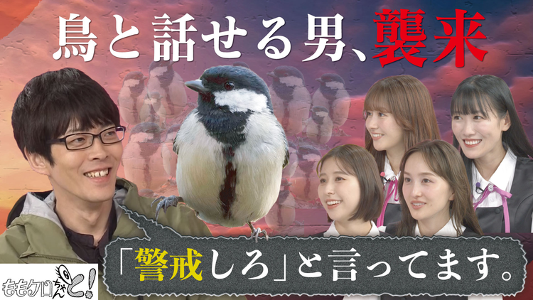 ももクロちゃんと！ ももクロちゃんと！～鳥の言葉がわかる先生～（2025/08/02放送分）