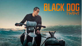 ブラックドッグ／字幕