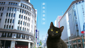 銀座黒猫物語