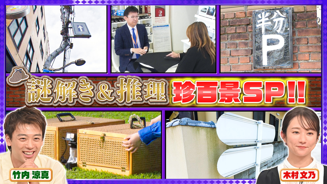 竹内涼真＆木村文乃ガチ挑戦！知識や想像力が試される謎解き推理SP