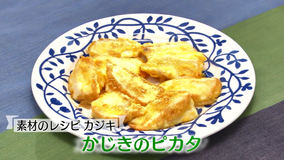 おかずのクッキング 土井善晴の「素材のレシピ・カジキ」/五十嵐美幸の「春キャベツと豚肉の春雨炒め」(2021/05/29放送分)