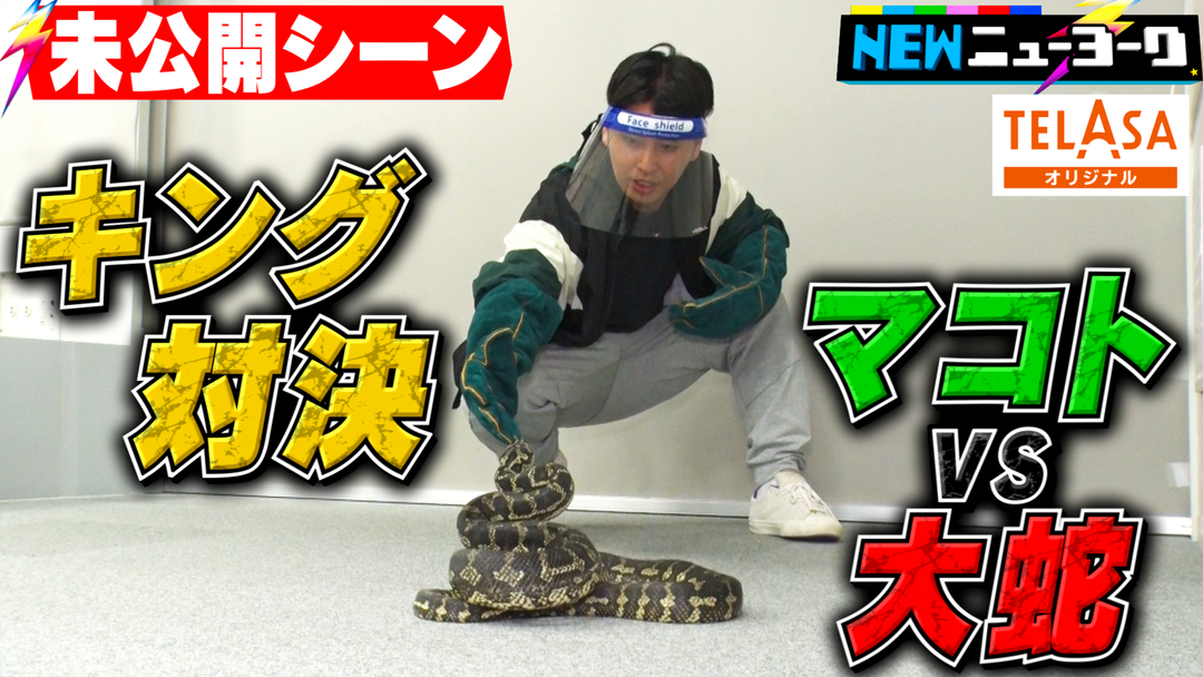 Newニューヨーク Telasa テラサ バラエティ 音楽の見逃し配信 動画が見放題