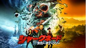 シャークネード ラスト・チェーンソー/字幕