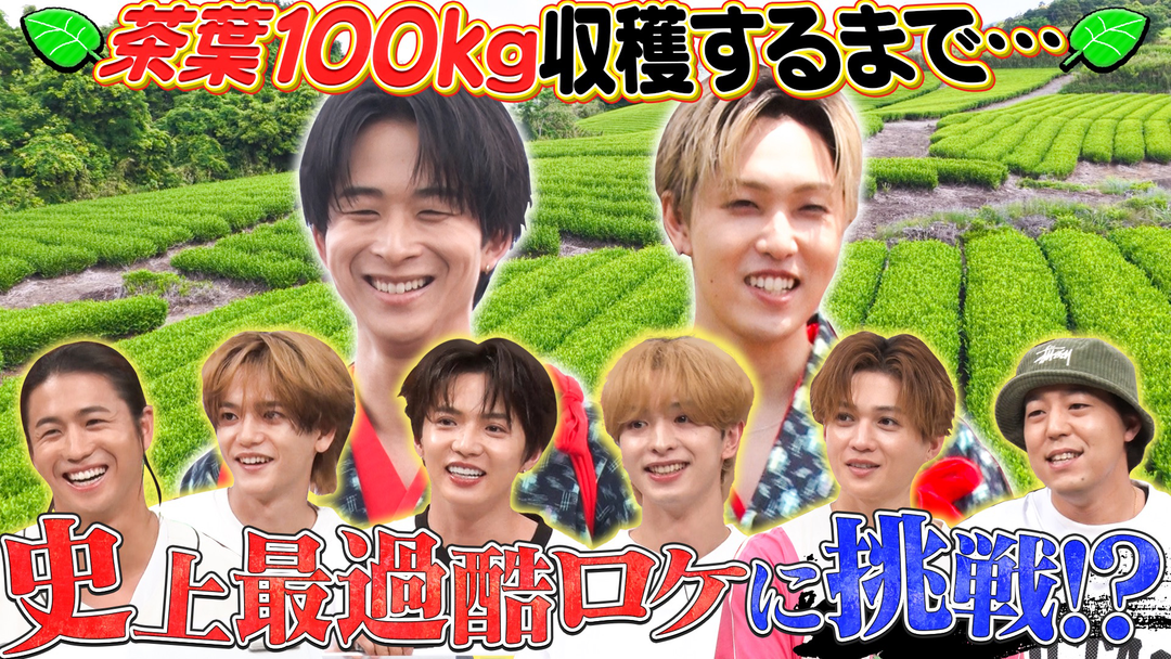 ファンタスティックPARK 静岡のライブ会場で無料配布！？茶畑で茶摘みをしてオリジナルグッズを開発！