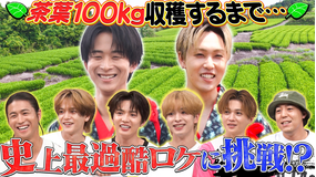 ファンタスティックPARK 静岡のライブ会場で無料配布!?茶畑で茶摘みをしてオリジナルグッズを開発!
