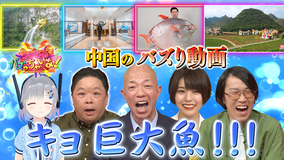 ブイ子のバズっちゃいな! #26【本日のテーマ】中国の衝撃バズり動画SP(2021/04/14放送分)