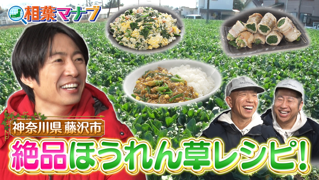 相葉マナブ マナブ！旬の産地ごはん～ほうれん草～（2026/03/22放送分）
