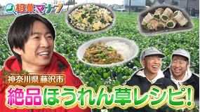 相葉マナブ マナブ!旬の産地ごはん~ほうれん草~(2026/03/22放送分)