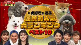 ウラ撮れちゃいました 犬好きゲストも大興奮!国民的人気犬ランキングベスト10!(2022/08/11放送分)