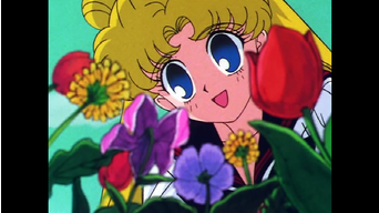 セーラームーンセーラースターズ Telasa テラサ アニメの見逃し配信 動画が見放題