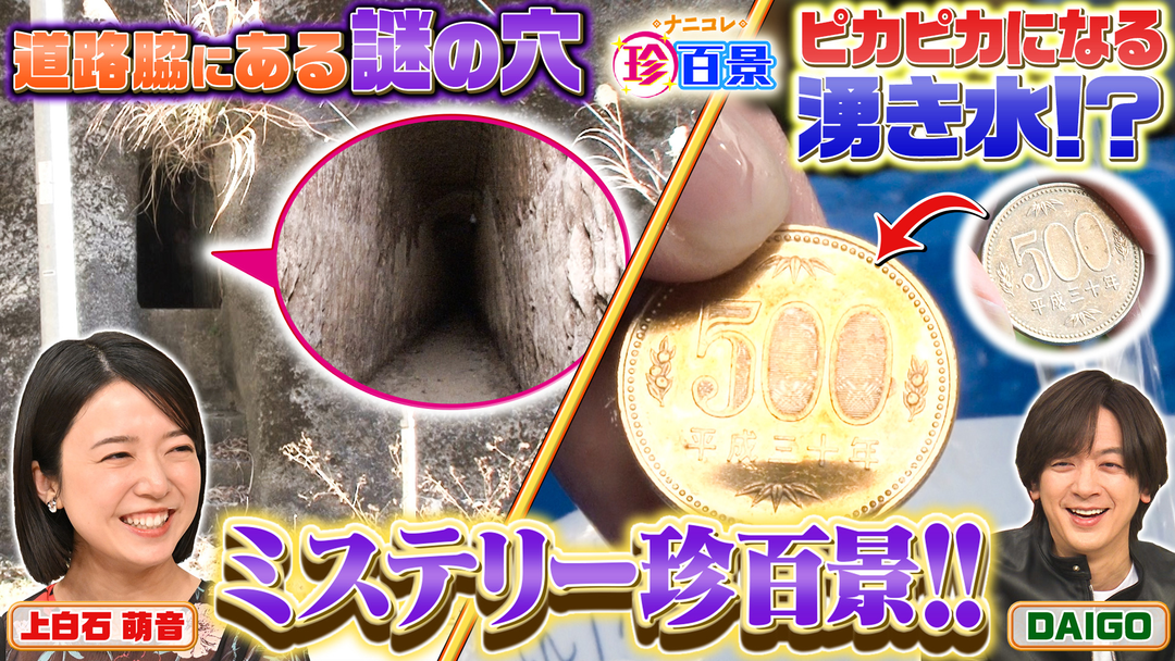 道脇に謎の洞窟＆お金がピカピカになる水…珍ミステリーを徹底調査