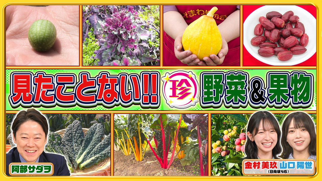 見たことない⁉日本の珍野菜・フルーツ＆地元民が伝える離島の魅力