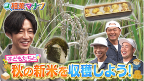 相葉マナブ 秋の新米をみんなで収穫しよう（2025/11/16放送分）
