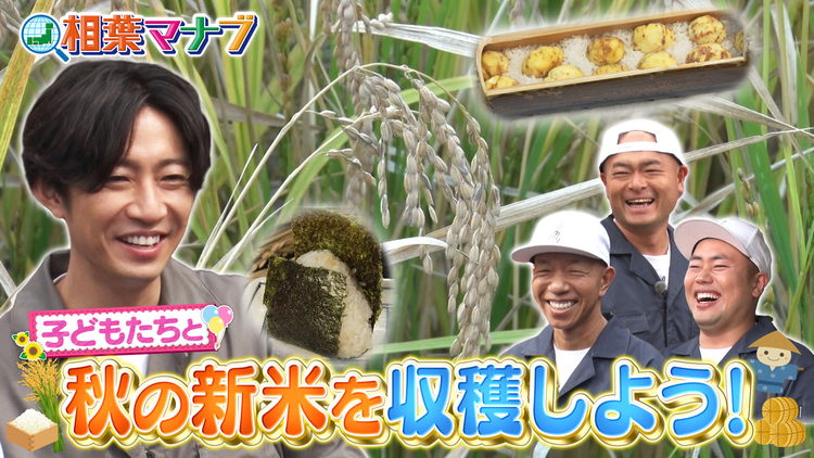 相葉マナブ 秋の新米をみんなで収穫しよう（2025/11/16放送分）