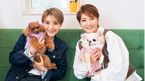 【宝塚歌劇】TAKARAZUKAあにまるハウス＃34「芹香斗亜・真白悠希」