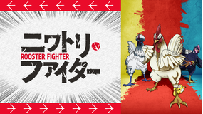 ニワトリ・ファイター