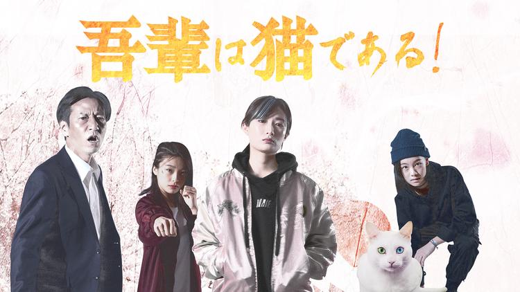 吾輩は猫である!